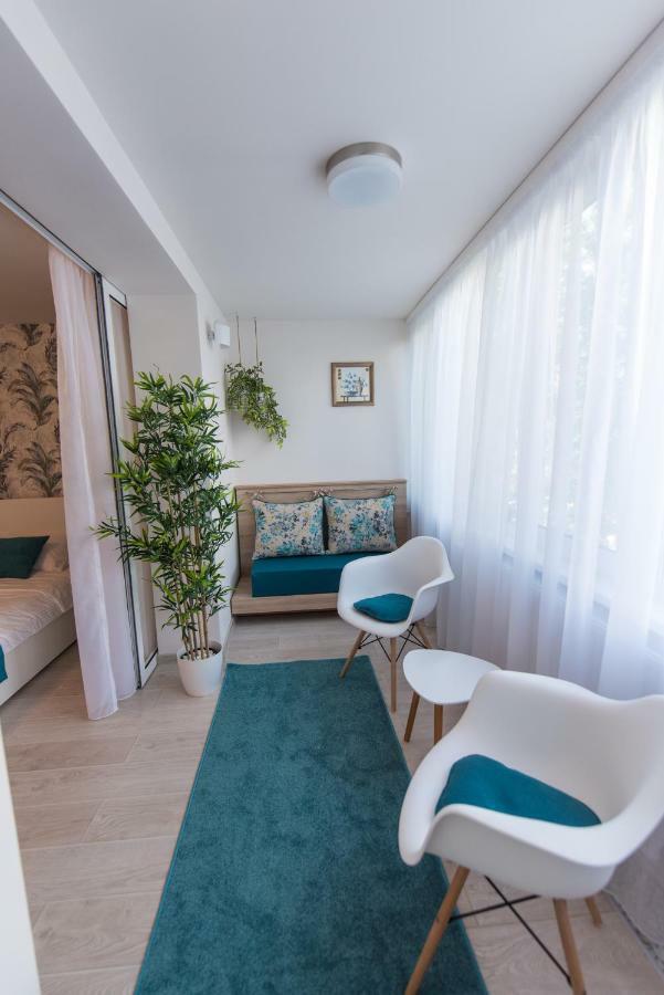 Exotic Rami'S Apartments 蒂米什瓦拉 外观 照片