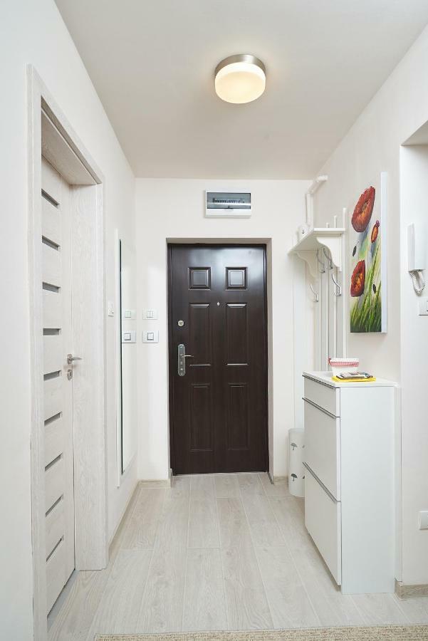 Exotic Rami'S Apartments 蒂米什瓦拉 外观 照片